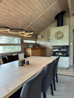 Special cottage in Sirdal
